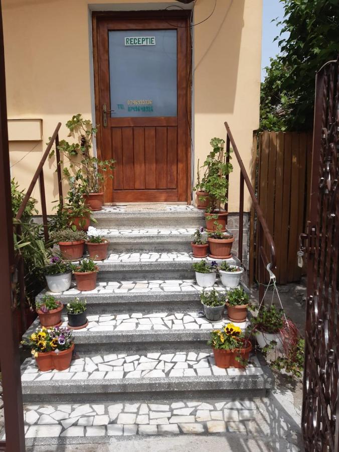 Pensiunea Cristiana Curtea de Argeş Exterior foto